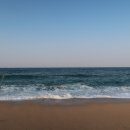 바다정원 이미지