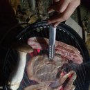 아프리카예술박물관 캠핑장 이미지