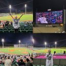 기장중학교 | 23(화) 롯데 VS NC 울산 문수 야구장 직관 후기 (1루 내야지정석 후기) - 투수들 연습 구경, 결국 또 졌다😭
