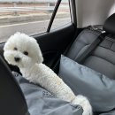 털로덮인친구들광주