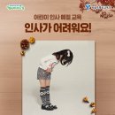 일타교육