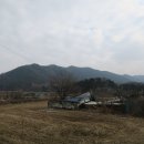 전평못식당 이미지