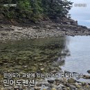 104 | 태안 민어도펜션 104호 내돈내산 후기 민어도 가는 길