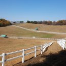 인종목장 이미지