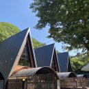 별을 담은 숲 이미지