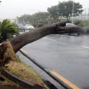 회수동-7 이미지