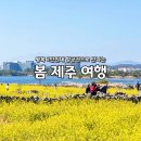 (주)제주에프엠여행사 | 제주도 비행기표 예약 2만원대! 3월 봄 제주 여행 코스 숙소