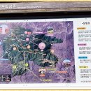 영숙이네 - 화순군 | 영숙이네