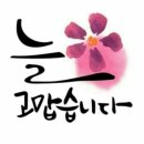 🌹8월21일 수요일 강방출석부🌹 이미지