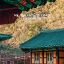 인문힐링센터 여명 | 겨울, 마음이 쉬어가는 영덕 여행 │ 인문힐링센터 여명