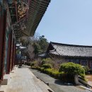 내원정사유치원 이미지