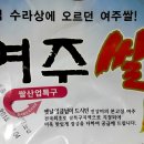 세종로237번길 이미지