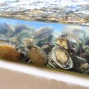 부산대양산캠퍼스역 이미지