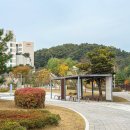 한숲물빛공원 이미지