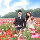 줌스토리 이미지