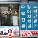 서수원동물병원 | 서수원 동물 병원 후기