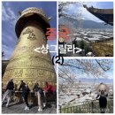 운동에빠지다 | 중국여행/샹그릴라의 자연에 푸욱 빠지다(2)/두커종고성 대불사 마니차(서이추대환영/)