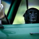 작은농장 이미지