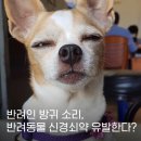 모