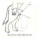 근육주사 놓는방법. 이미지