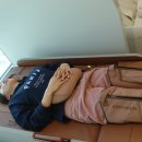 셀루닉하우스 강서점 이미지