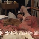 레드민박 이미지