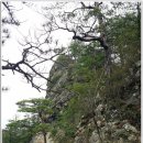 오저1리 이미지