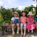 지묘어린이집 이미지