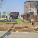 도인농장 이미지