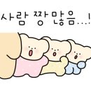 차이797종로그랑서울점 이미지