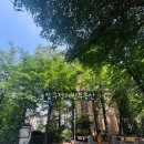 압구정-107 이미지