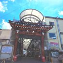 속골 | 영월 서부시장 별미 메밀전병과 배추전 로컬맛집 다녀온 후기ㅣ속골집