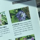 커피 교실A | 죽음이랑 마지막 춤추고, 달타냥 손잡고 파리 산책💃🏻