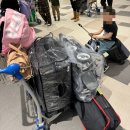 함지약국 | 🇲🇾말레이시아 한달살기 짐싸기 유모차 골프채 캐리어 한개로 끝내기 목록