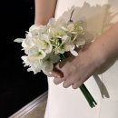 수원 스드메 토탈샵 가우디웨딩 촬영드레스 셀렉 후기