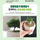 원뷰티코스메틱 - 25426 | 💗 비건·클린뷰티페어 |코엑스 D홀 첫 날 오전 방문 후기!
