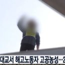 양화 이미지
