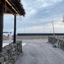 제주그밤 | 제주도 에어비앤비, 한림읍 독채 감성숙소 제주 그밤 후기