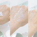 아워컨투어 네이버블로그