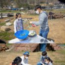 중앙채소 이미지