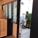 동화애견샵