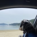 보석청사우나