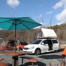 하기숲 캠핑장 이미지