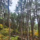 잣향기푸른마을 이미지