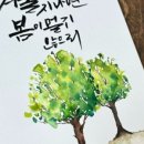 붓쌤캘리그라피 네이버블로그