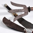 원광대학교박물관 이미지