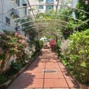 우렁이 봉쌈밥 이미지