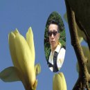 꽃필때 이미지