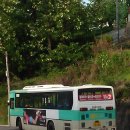 판이농장 이미지