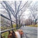 꿈의유치원 이미지